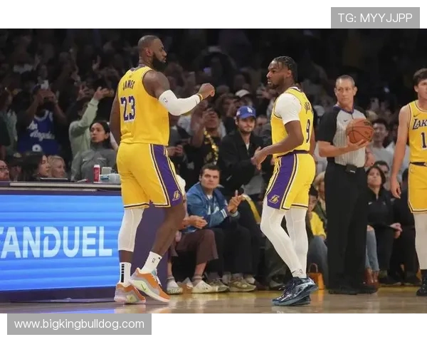 詹姆斯转发布朗尼扣篮训练：父子齐力见证成长！(1)